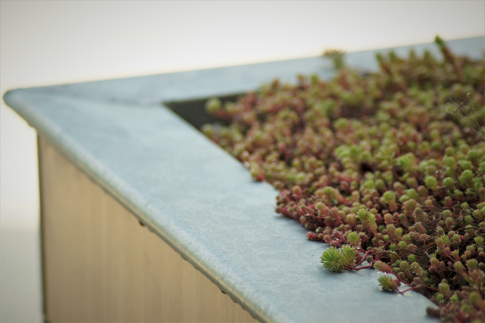 Sustainable Green roof at Patient Lifting Solutions, a MedTech company